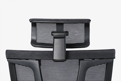 Epione ErgoChair Pro Ergonomic Chair