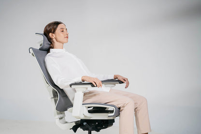 Epione ErgoChair Pro Ergonomic Chair
