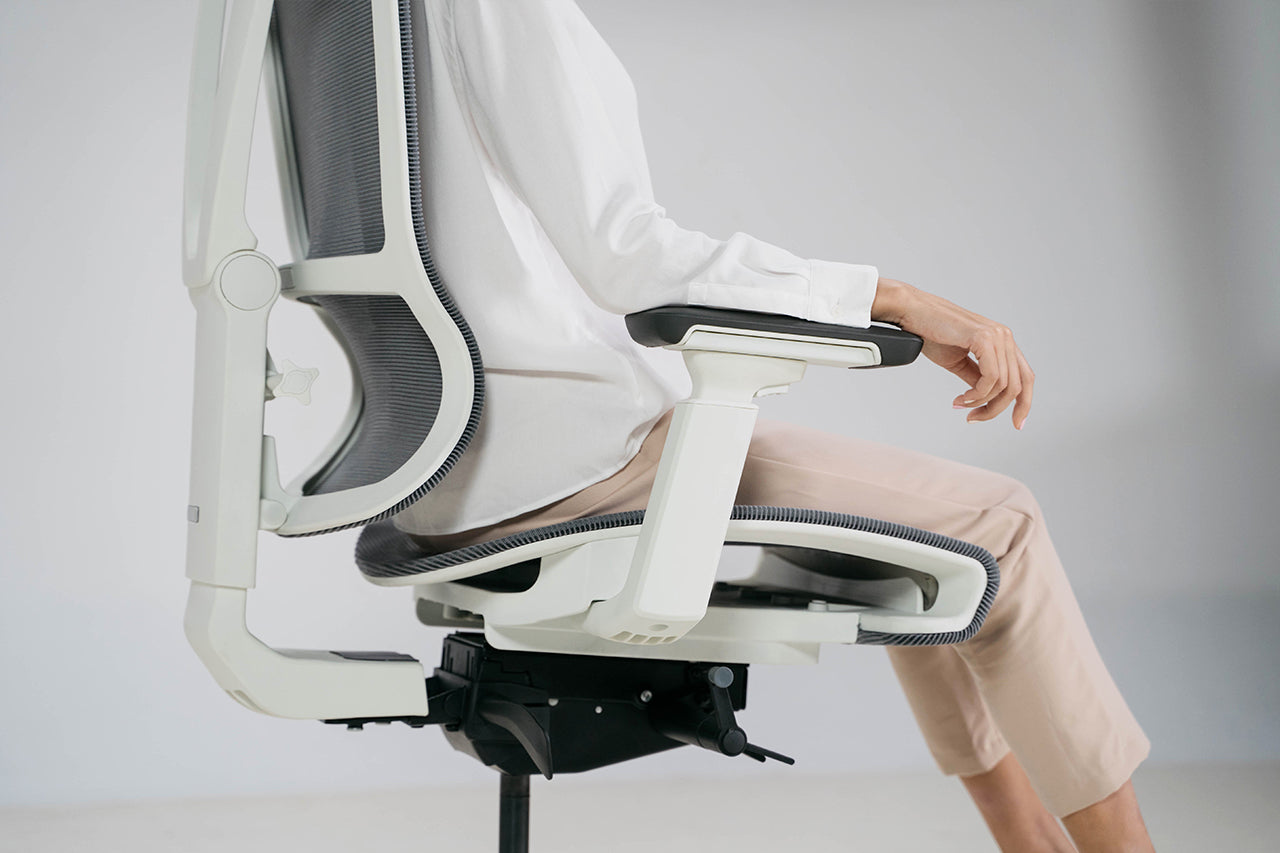 Epione ErgoChair Pro Ergonomic Chair