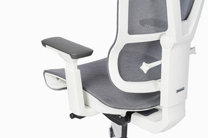 Epione ErgoChair Pro Ergonomic Chair