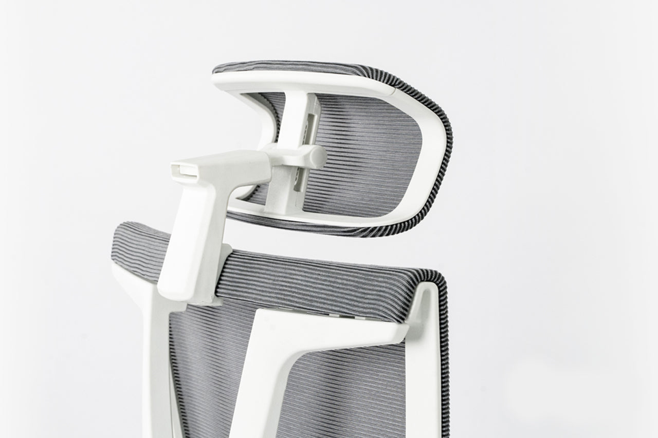 Epione ErgoChair Pro Ergonomic Chair