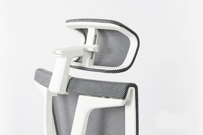 Epione ErgoChair Pro Ergonomic Chair