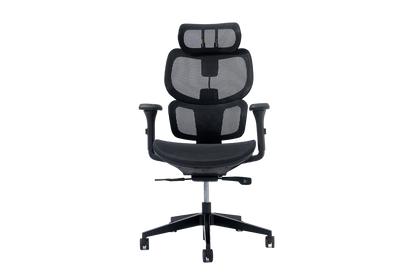 Epione FortisChair Ergonomic Chair