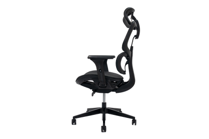 Epione FortisChair Ergonomic Chair