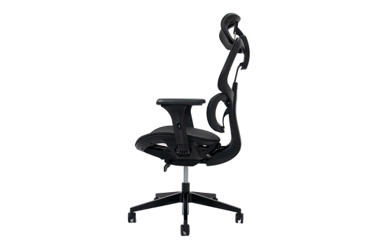 Epione FortisChair Ergonomic Chair