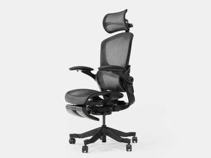 Ergonomic Chair - Epione Easy Chair