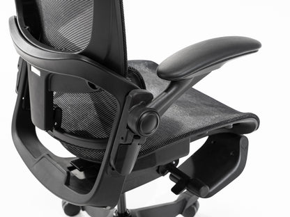 Ergonomic Chair - Epione Easy Chair