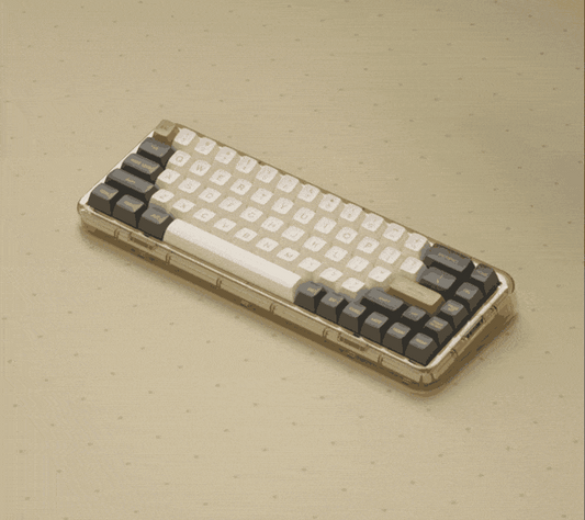MOJO68: Transparent Mechanical Keyboard