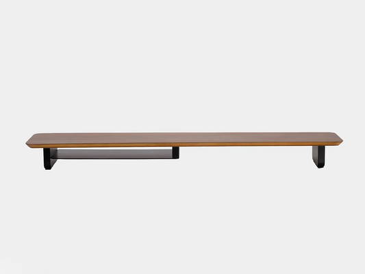 Epione Monitor Stand
