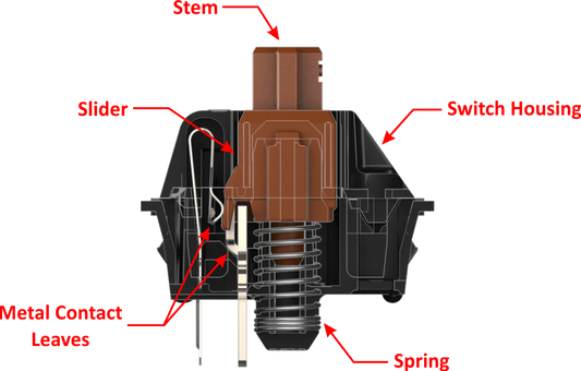 Cấu tạo chi tiết bên trong một chiếc Switch bàn phím cơ