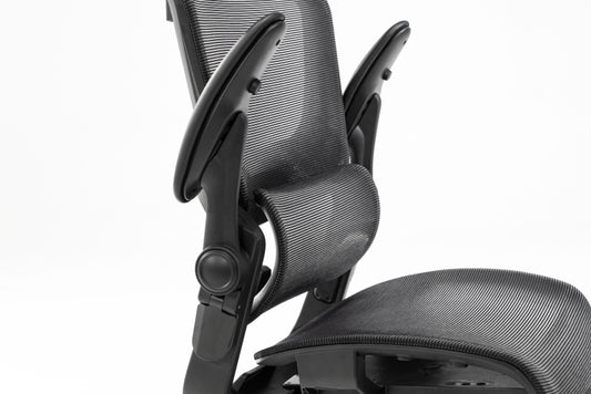 CHIẾC GHẾ CÔNG THÁI HỌC EPIONE EASY CHAIR