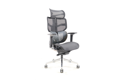 Epione AliusChair Ergonomic Chair 