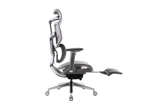 Epione AliusChair Ergonomic Chair 
