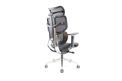 Epione AliusChair Ergonomic Chair 