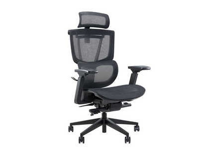 Ghế Công Thái Học Epione ErgoChair Pro 2.0