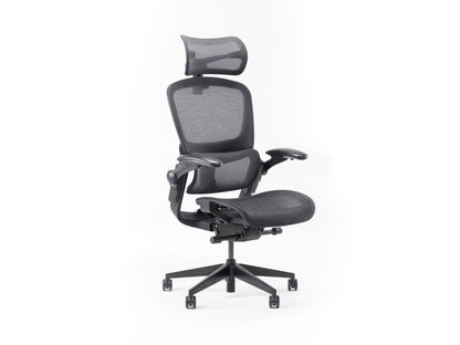 Ghế công thái học Epione Easy Chair 2.0