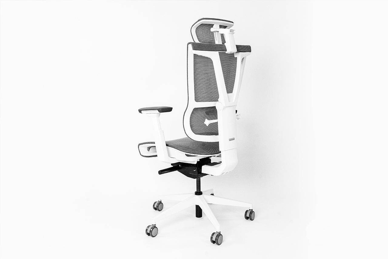 Ghế công thái học Epione ErgoChair Pro