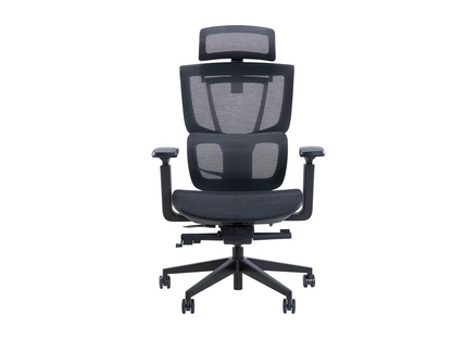 Ghế Công Thái Học Epione ErgoChair Pro 2.0