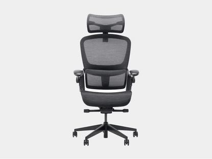 Ghế công thái học Epione Easy Chair 2.0