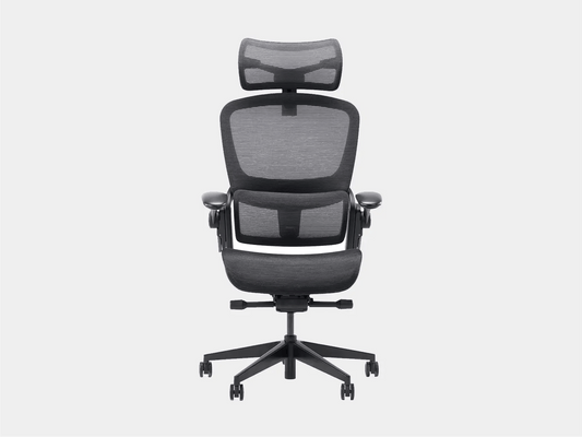 Epione Easy Chair 2.0 Ergonomic Chair 
