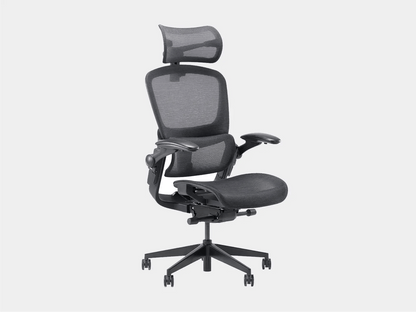 Ghế công thái học Epione Easy Chair 2.0