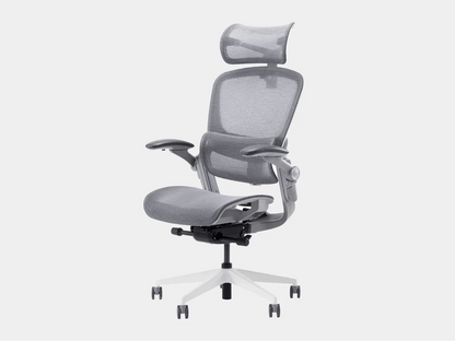 Ghế công thái học Epione Easy Chair 2.0